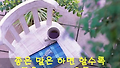 ** 가난한 마음의 행복 **