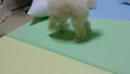 신나는놀이