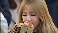 2NE1 해체 후 털어놓은 고백