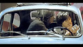서양골동양과자점-앤티크