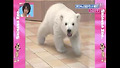 보자마자 뿅! 하고 반해버릴 영상, 으 귀여워 ㅠㅠㅠㅠㅠ