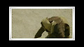 [패션오브크라이스트] 예수님의 사랑~&hearts;