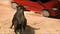 Holden Barina -Matador-