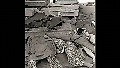 꼭기억하겠습니다