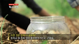 학교의 고백 학교의 고백 2 2-2화 / 다큐프라임 EBS