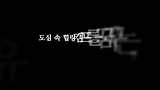 춤추는 숲