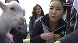미스코리아와 데이트 하실래요?