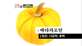 제 43강(2) - 건강상식의 불편한 진실과 올바른 건강법