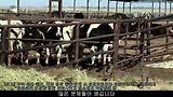 우유에 대한 불편한 진실 (Got the Facts on Milk?) [축약본, 한글자막]