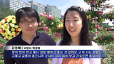 [천지TV] 고양 장미 페스티벌 “장미꽃이 활짝~”