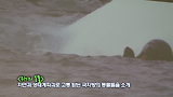 2012 문화가 흐르는 서울 12월 2째주