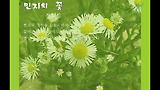 민지의 꽃-정희성