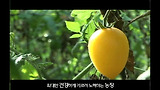 건강의 고향을 찾아서_횡성