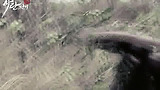 아란전기 프로모션 영상 '동물의 왕국'
