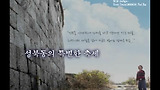 성북 노을 빛 하모니 월월축제 2011