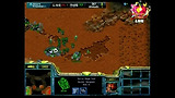 5세트 미지정(R) vs 미지정(R)