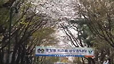 과천시 중앙동 래미안 에코팰리스