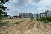 4차선 대로변 개발 가능한 넓은 농지 관련글 썸네일