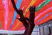 [부처님오신날] 조계사 연등 및 우정공원 전통등 전시회 풍경