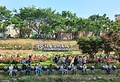 5월 장미꽃 명소, 서울장미축제 (주차장 정보)