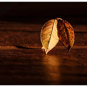 img-skin-thumnail