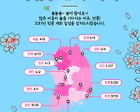 2017 벚꽃 개화 시기(일정) 및 주요 벚꽃축제 일정 총정리