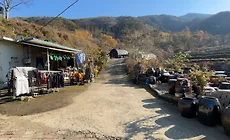 충청북도 옥천군 군북면 항곡리 자연환경보전지역 토지 매매 소개 썸네일
