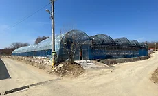 전원주택지 및 과수원에 적합한 토지 소개 썸네일