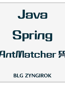 Java Spring | AntMatcher 이름 뜻