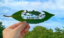 한 장의 잎으로 표현하는 세계 - 리토의 나무잎 조각 작품