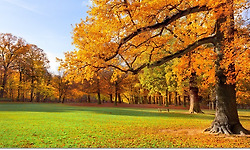 아름다운 가을 풍경 사진 100선 - 1