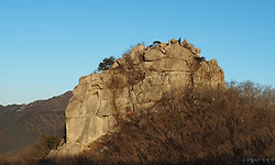 지정된 등산로만 그려져 있는 국립공원 팔공산의 대형 등산지도