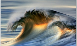 캘리포니아 바다가 연출하는 아름다운 황금파도(Golden waves)