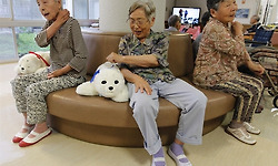 쓰나미에서 살아남은 노인들을 위한 의료용 애완로봇