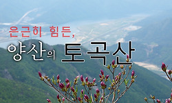 양산 토곡산 - 부산근교 3대 악산