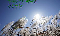 명성산 억새 축제~강촌 구곡폭포