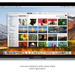 섬네일포스트