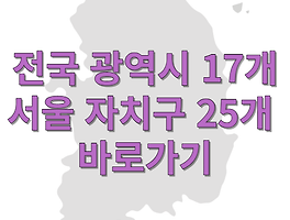 서울시 자치구(25개)와 전국 광역시도(17개) 홈페이지를 안내해드립니다.