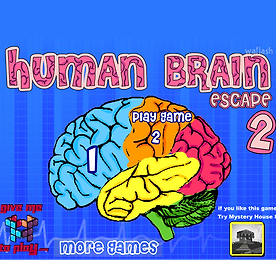 휴먼 브레인 이스케이프 2 (Human Brain Escape 2)