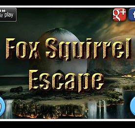 MIRCHI 여우 다람쥐 탈출 (Fox Squirrel Escape)