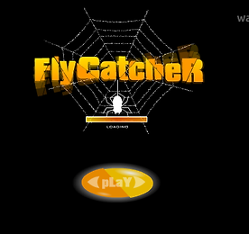 플라이 캣처 (Fly Catcher)