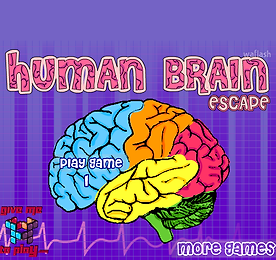 휴먼 브레인 이스케이프 1 (Human Brain Escape 1)