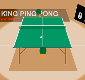 PING PONG 3D 탁구 게임