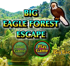 BIG 이글 포레스트 이스케이프 (BIG Eagle Forest Escape)