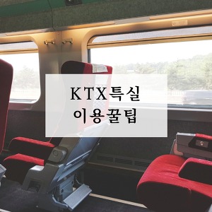 부산-서울 KTX 특실 이용후기 (+꿀팁 알아가세요)