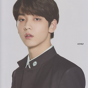 2020 TXT FANLIVE DREAM X TOGETHER Panorama Poster