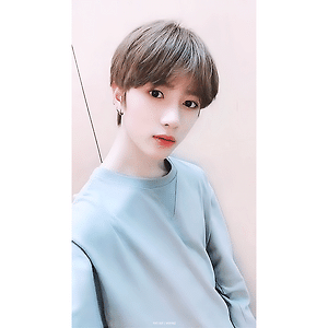 190221 TXT 트위터 범규 GIF
