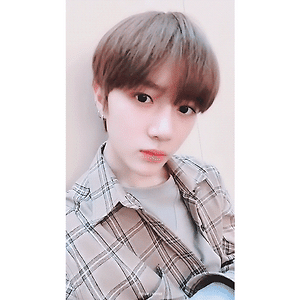 190215 TXT 트위터 범규 GIF