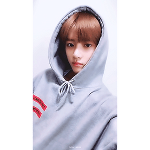 190223 TXT 트위터 범규 GIF