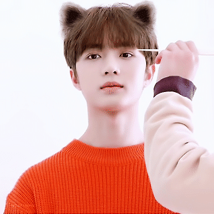 TXT 범규 고양이 GIF